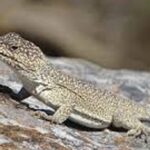 Imagen de WhatsApp 2024-08-07 a las 20.06.53_ce4e870d