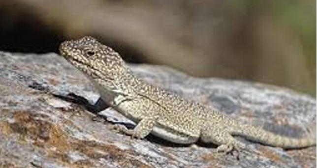 Imagen de WhatsApp 2024-08-07 a las 20.06.53_ce4e870d