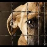 Imagen de WhatsApp 2024-09-04 a las 15.53.25_fd0a754f